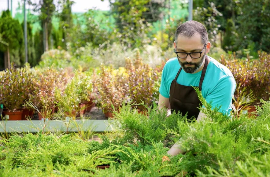 Burbank Turf Experts