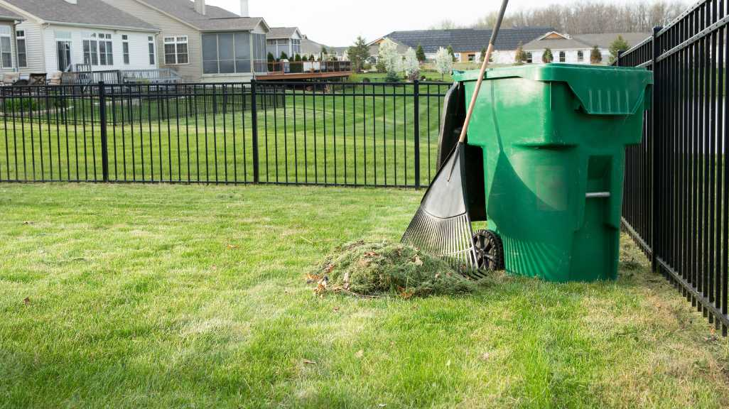 Spring Yard Cleanup in Fredericton